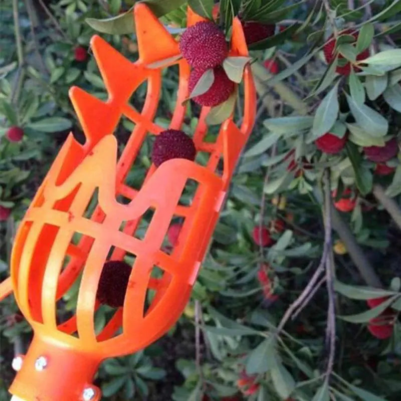 Garden Fruit Picking Tool